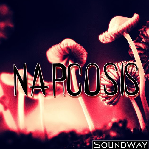 Narcosis - Road to Infinity/Horny Night (Rehearsal Recording)