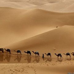 Caravan, Nice & Slow :)