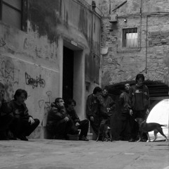 Lumiere - Drotech LivePatchsession