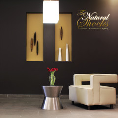 The Natural Shocks - Miri