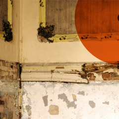 Kiss me tiger - Walk the Line