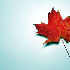 Autumn - ft. Laura James