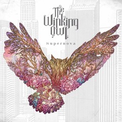 The Winking Owl - When Rainy Days Are Gone