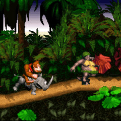 Crocodile Cacophony