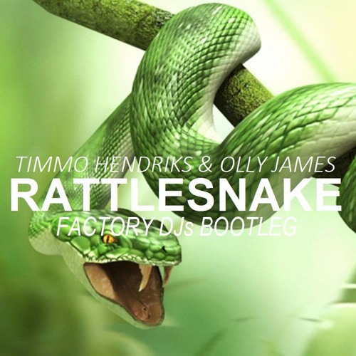 Timmo Hendriks & Olly James - Rattlesnake (Factory DJs Bootie)