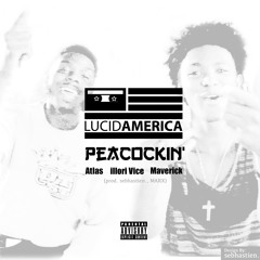 Peacockin' (ft. Maverick)