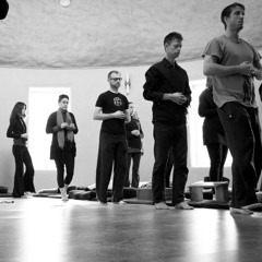 Form & Emptiness: The Role of the Body in Meditation Practice