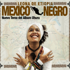 Leona de Etiopia- México Negro