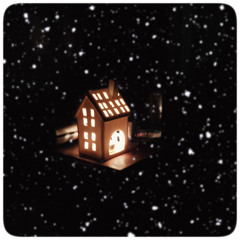 snowflakes [first snow of winter]