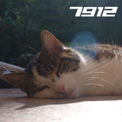 Rapperswil (Instrumental)