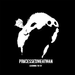 Learning to Fly (Pink Floyd cover - Short Version)