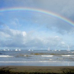 ANOTHER BRICK IN THE WALL