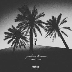 Palm Trees Freestyle