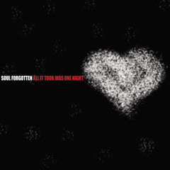 All It Took Was One Night (DEMO)