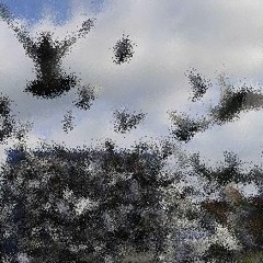 Birds on Drugs ~ Our Love Is Like An Overdue Library Book