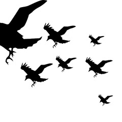 Kaade - Storm Crows (99Sounds Contest)