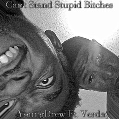 Can't Stand Stupid Bitches Ft. Verday