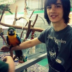 Caroline (as The Vinyls [Logan, Webb, Hube, Nathan Cleveland, oh yeah and I guess phil])