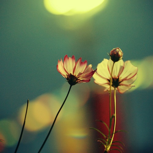 Sanket Music - Blind Touch