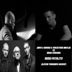 Above & Beyond & Touchstone Bootleg vs Brian Cameron - Home-Fatality (Alessio TerraNova Mashup)