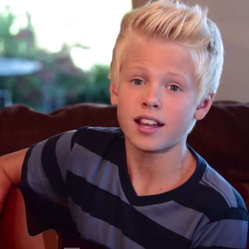 Taylor Swift Shake It Off Acoustic Cover By Carson Lueders By