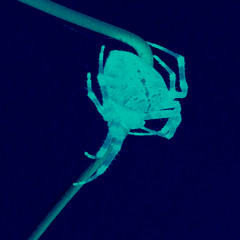 Arthur's Landing - Miracle 2 - Dynamicron Mix (out now)