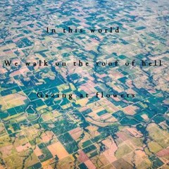 Flowers [Naviarhaiku045-In this world]