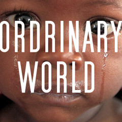 Ordinary World