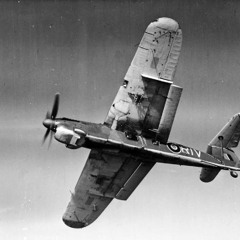 Barracuda - Johnny Maggi