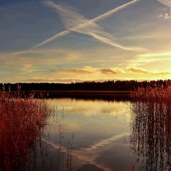 Dawn On Sunset (Invisible Brothers Remix)