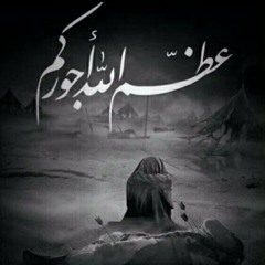 شيعي