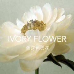 象牙色の花(demo)