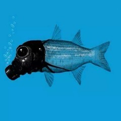 jouji washington (chopped n drew'd)