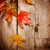 Artwork for Autumn Leaves (Bill Evans' Solo Improvisation)