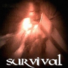 Survival - Crusader