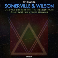 003 Somerville & Wilson - Cenobite (Rayko Remix) LOW REZ SNIPPET 96kbps