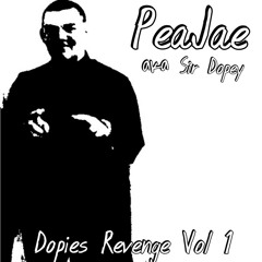 #MixtapeLeak PeaJae ft Preemo - You a Hoe