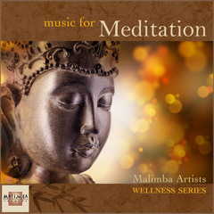 Meditations • Nandin