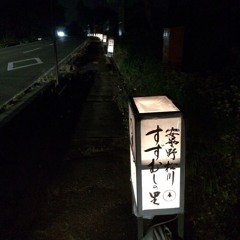 Latefall in Matsukawa,Azumino  '14