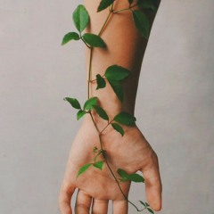 راک لاو