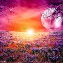 Arctika - Living In A Fantasy (bootleg)
