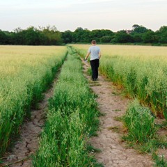 Norah Jones- Sunrise Cover