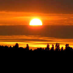 Temple Cloud- One Big Family Cover