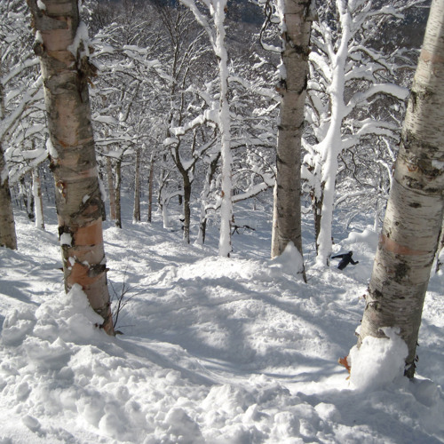 Tree ski (Mellow)