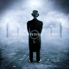ANOTHER PERFECT STORM