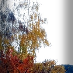 The Days Of Autumn 2