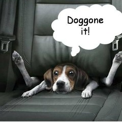 Doggone It! - H.F. Hoffmann and Claus Maurice