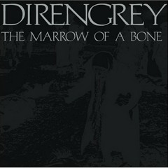 Dir en grey Lie Buried With A Vengeance cover [guitar Die & kaoru]