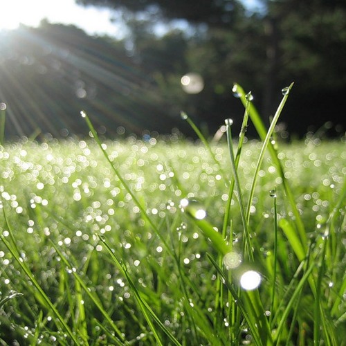 Ruth Barrett - Earthflow