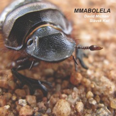 The Bridge To Botswana IV: from the 2xCD "Mmabolela" on Gruenrekorder, available at Bandcamp